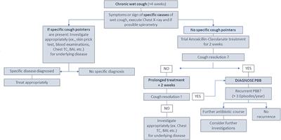 Frontiers When the Cough Does Not Improve A Review on